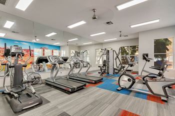 Gym 1